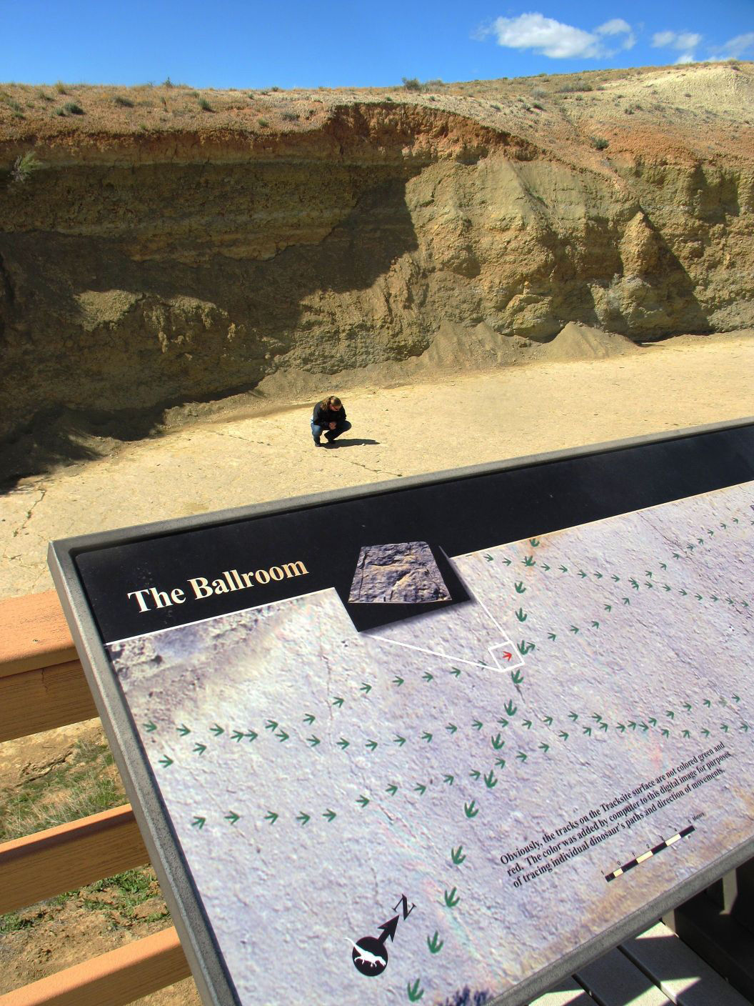 Red Gulch Dinosaur Tracksite